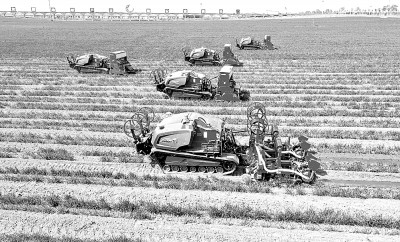 数字经济时代的&ldquo;石油&rdquo;，如何产生更多&ldquo;动力&rdquo;